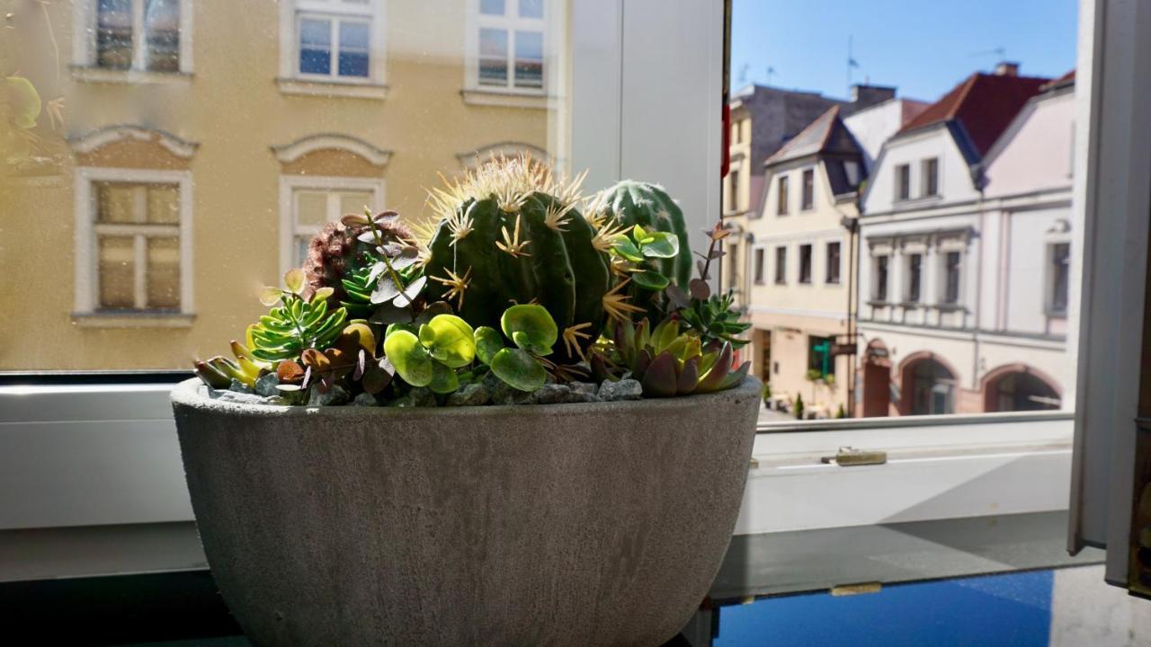 Apartment W Samym Sercu Opola 2